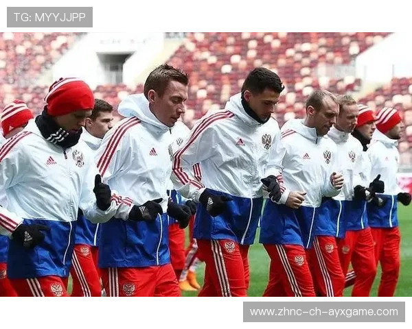 世界杯赛事公共交通组织与观众疏导案例