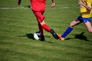 爱游戏下载-篮球训练计划科学制定及执行效果跟踪研究，简述篮球训练计划制定步骤